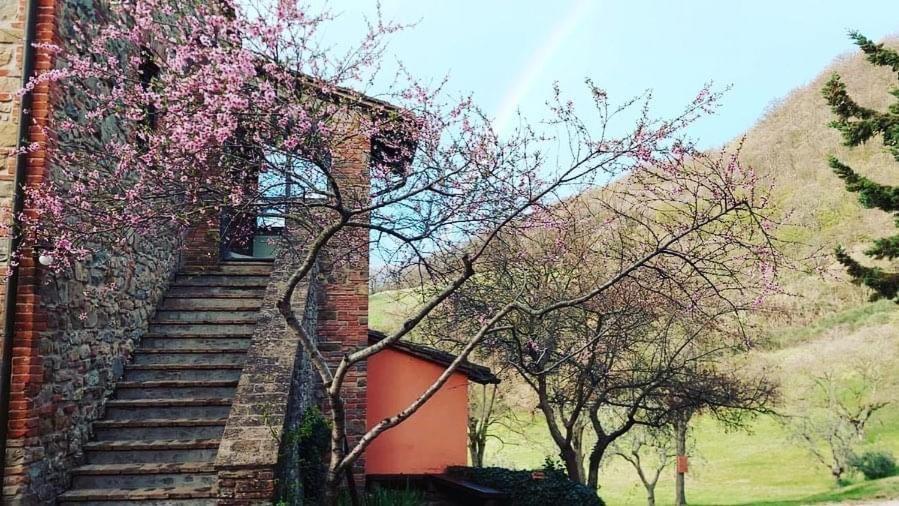 Agriturismo Paradiso41 Assisi Exteriér fotografie