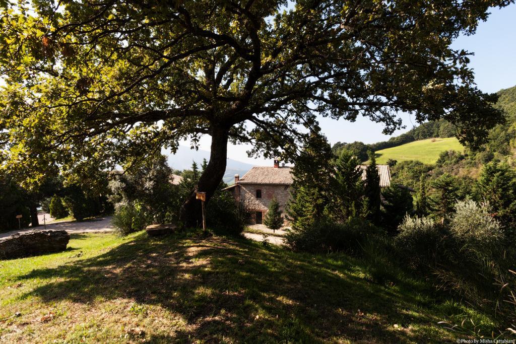Agriturismo Paradiso41 Assisi Exteriér fotografie