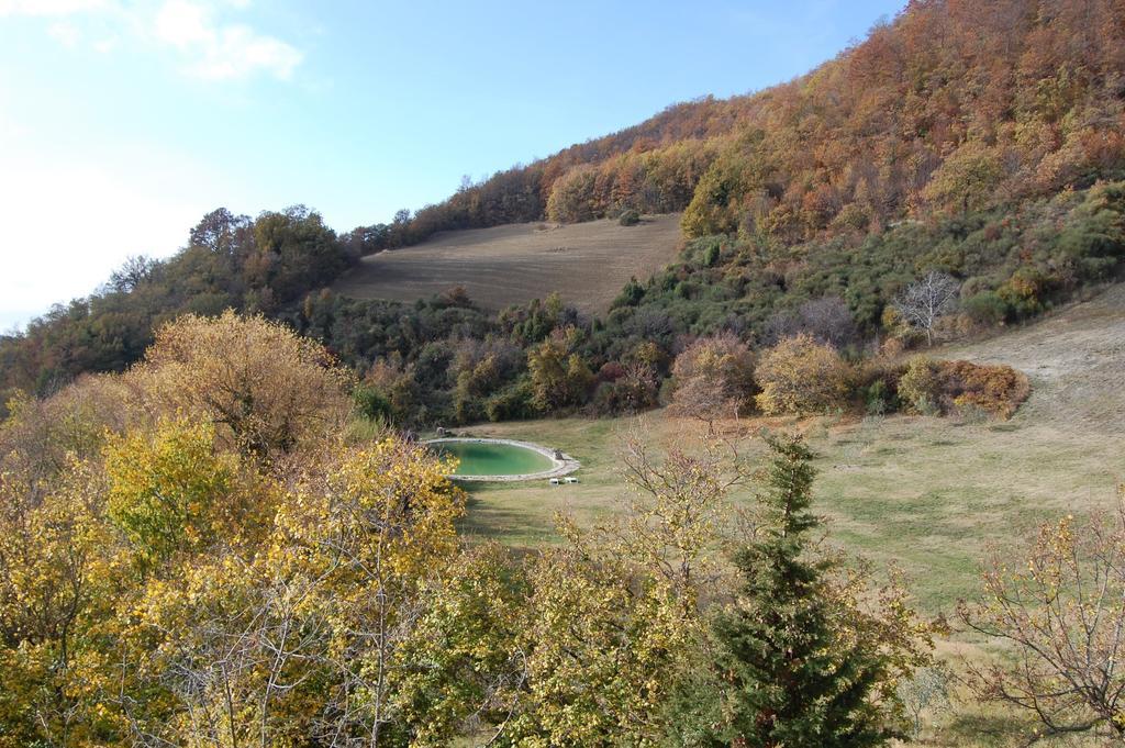 Agriturismo Paradiso41 Assisi Exteriér fotografie