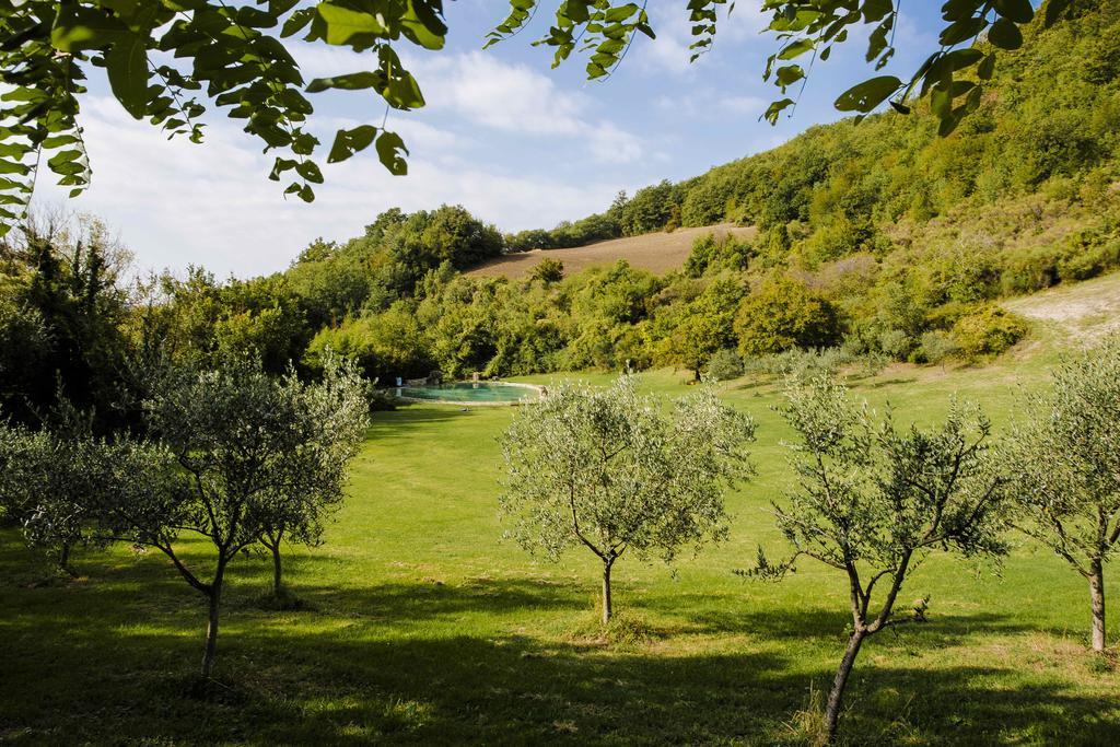 Agriturismo Paradiso41 Assisi Exteriér fotografie